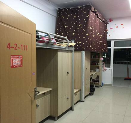 Cache_-d00390172570cf7.